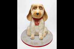 Celebrations Peterborough - 9