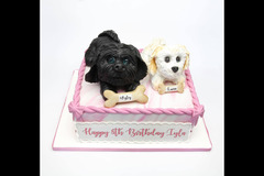 Celebrations Peterborough - 15