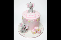 Celebrations Peterborough - 28