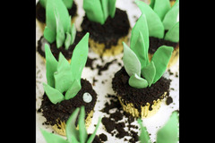 Emilia's Cakes Coventry - 21