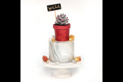 Emilia's Cakes Coventry - 23