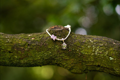 Tommy James Photography - 21