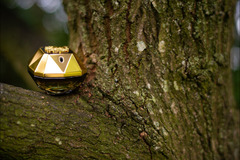 Tommy James Photography - 26