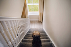 Roo Stain Wedding Photography - 17