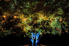 J S Coates Wedding Photography - 23