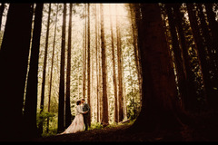 Bridgwood Wedding Photography - 3