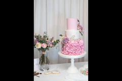 Cake design by Pamela Coventry - 8