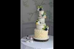 Cake design by Pamela Coventry - 14