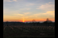 Blabers Hall Wine Estate Fillongley