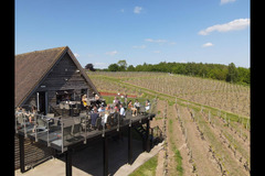 Halfpenny Green Wine Estate - 9