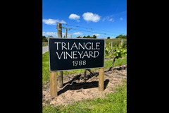 Halfpenny Green Wine Estate - 13