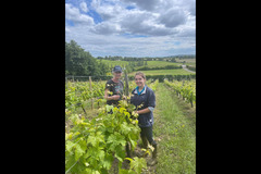 Halfpenny Green Wine Estate - 18