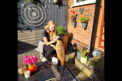 Sedgley Dogs & Mogs Wolverhampton