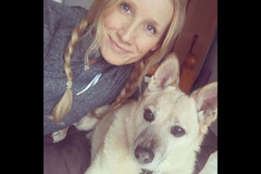 Sedgley Dogs & Mogs Wolverhampton