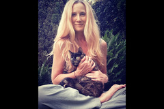 Sedgley Dogs & Mogs Wolverhampton - 10