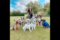 Happy Hounds Coventry - 12