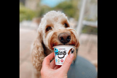 Happy Hounds Coventry - 17