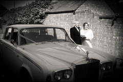 Queen B Photography - 6