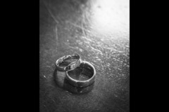 Russell Whitehead Photography - 7