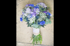 Russell Whitehead Photography - 17