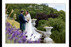 Ani Evans Photography - 17