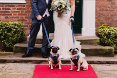 Samantha Lowe Photography