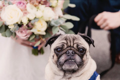 Samantha Lowe Photography - 9