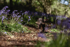 Samantha Lowe Photography - 17