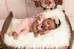 Newborn Photography Art - 8