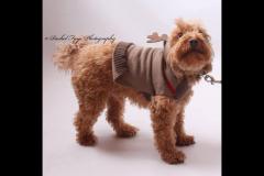 Rachel Faye Photography - 2