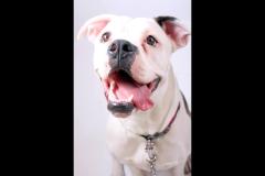 Rachel Faye Photography - 16