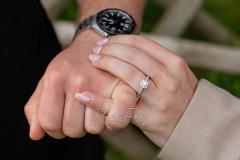 Dan Foley Photography