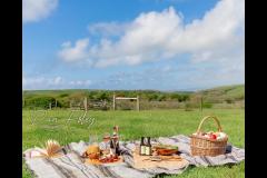 Dan Foley Photography