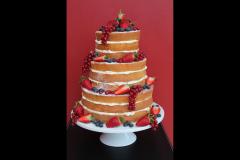 Blueberry Cakes Edinburgh - 9