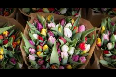 Flowers by Maxwell Edinburgh