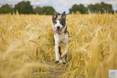 Photography by Marcus