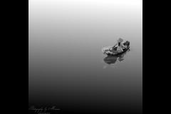 Photography by Marcus - 8