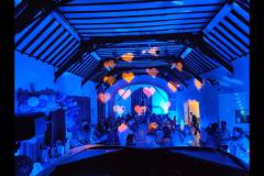PicknMixx Mobile DJ Disco