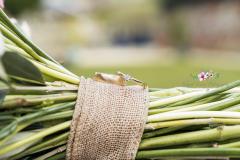 Perfect Timing Photography