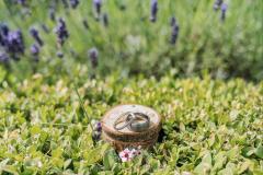 Perfect Timing Photography