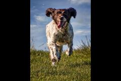 Simon Folkard Photography