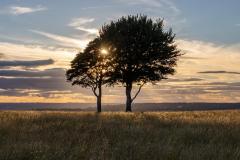 Simon Folkard Photography - 10