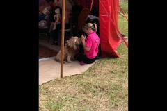 Paws2Party Solihull - 8