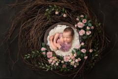 Alina Ciobanu Photography