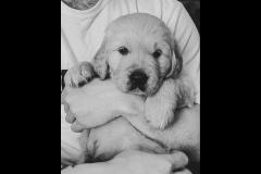 Jenny Sneap Photography