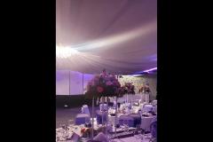 Ballroom Evelynne Walsall - 6