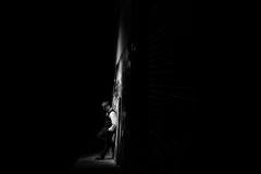 Nick Hardy Photographer