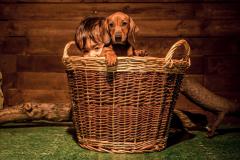 Nick Hardy Photographer