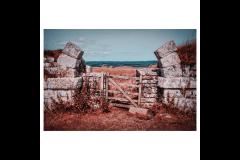 Lewis Copson Photography