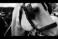 Hope Visual Productions